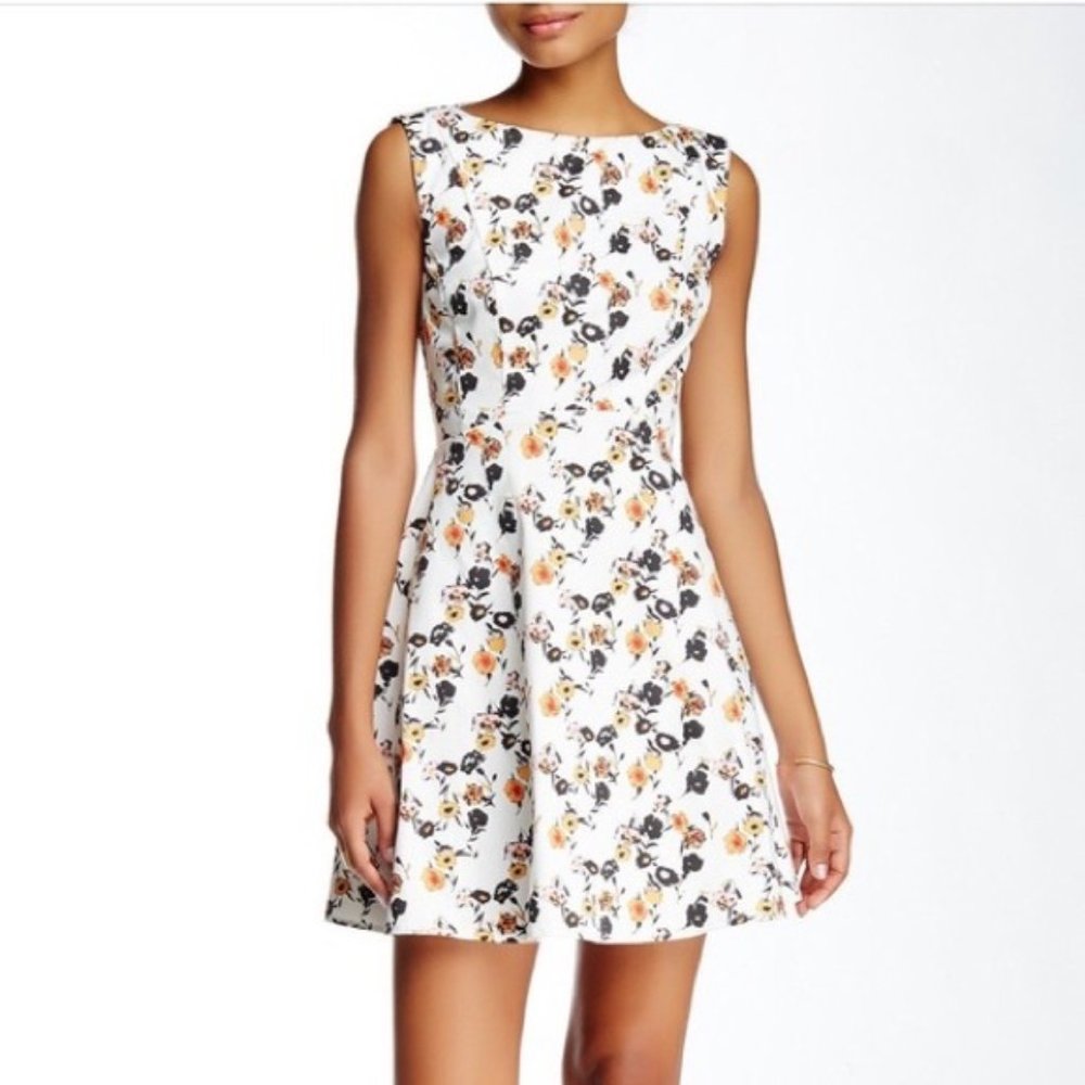 NWOT French Connection White Floral Fit and Flare Dress Size 8